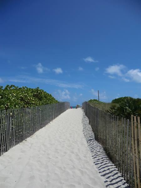 White sand path between wooden fences leading to the beach, blue sky
