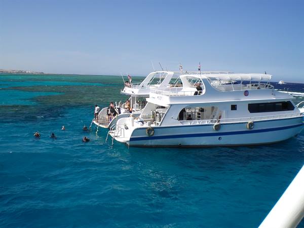 Let's go diving...