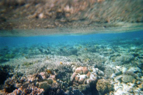 seen from below