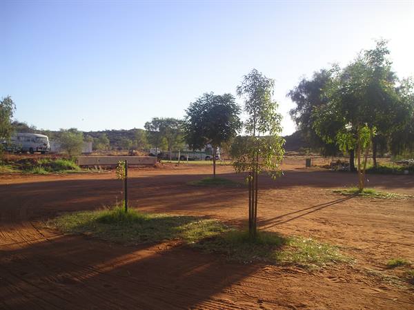 Campervans and young trees on red sand at an outback campground