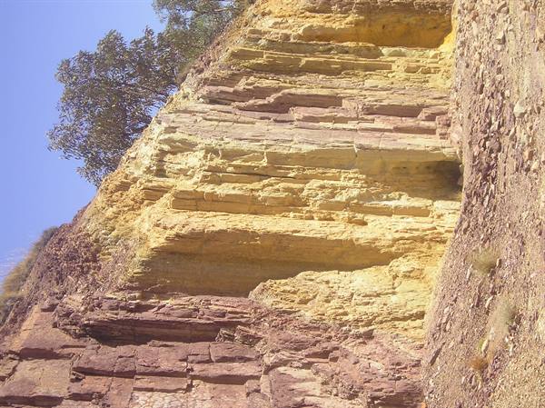 Layered ochre and red rock face, green tree, clear blue sky