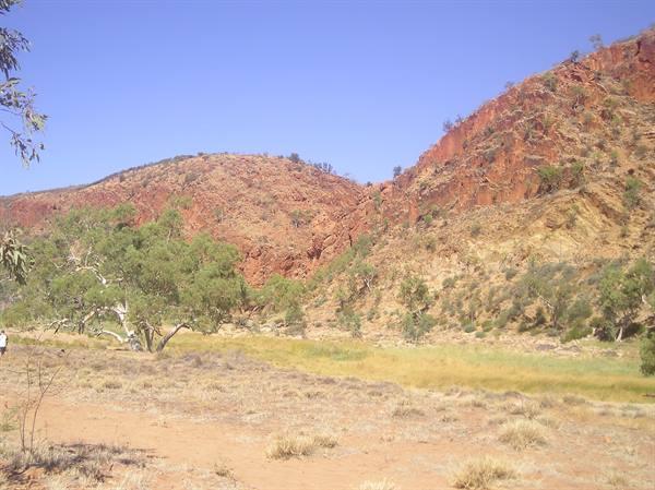 Red rock gorge with eucalyptus trees, green grass, blue sky, Australian outback