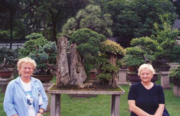 The BONSAI garden