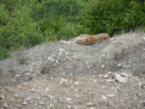 Sleeping???