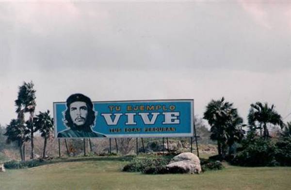 Blue billboard with Che Guevara portrait among palm trees, grass and grey sky