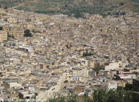 Fez the homeland of the Dyers