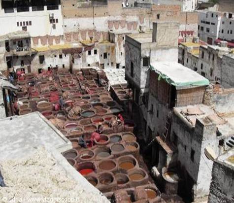 Workers dyeing leather in the Chouara tannery vats, Fez