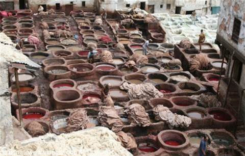 Chouara tannery in Fez: stone vats with red dyes, workers handling hides
