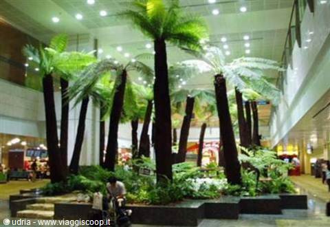 Airport interior