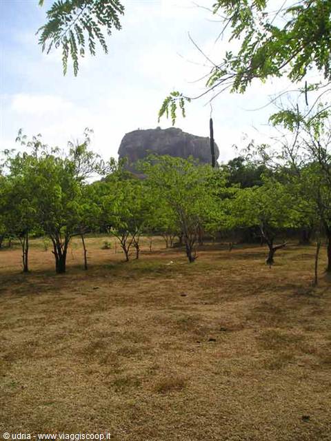 Rock monolith rising above green trees and dry grass, partly cloudy sky