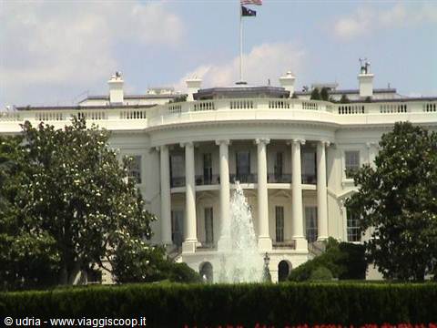 The White House in Washington, columned facade, fountain in foreground, flowering tree