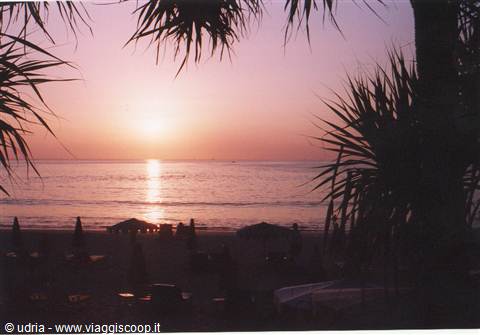 Sun setting over the sea behind palm leaves, beach umbrellas silhouetted on the sand
