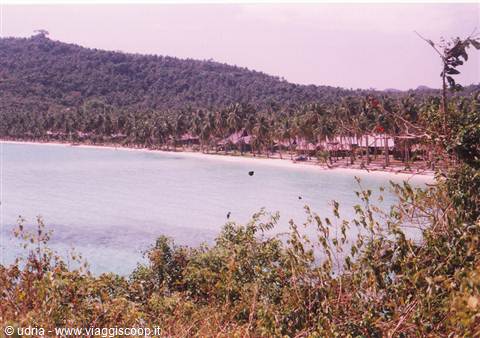 Tropical beach with palm trees and bungalows along turquoise water