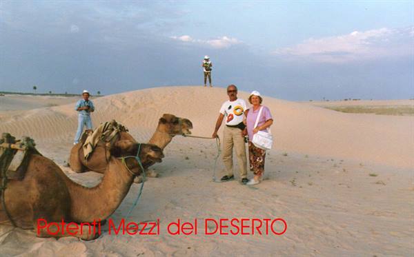 Tourists standing beside saddled camels on sandy desert dunes