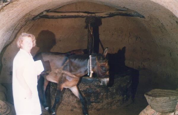 Woman in white beside a mule inside a stone water mill