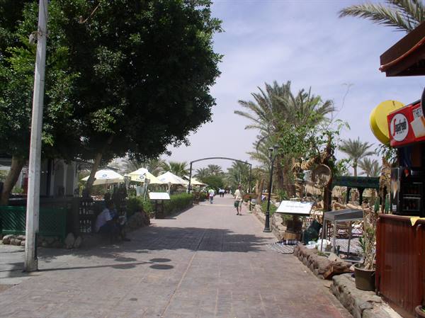 Paved pedestrian walkway with palm trees and parasols, tourists strolling, drinks kiosk on right