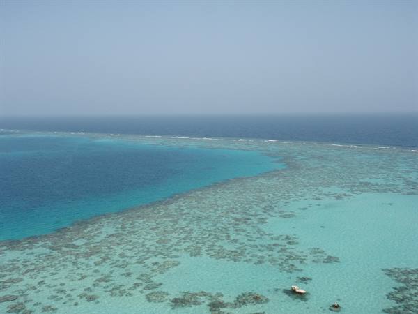 Breathtaking View from the Lighthouse