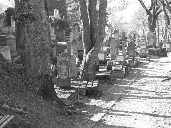 SIGHISOARA - Saxon Cemetery
