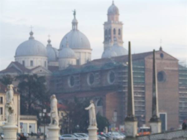PADUA 