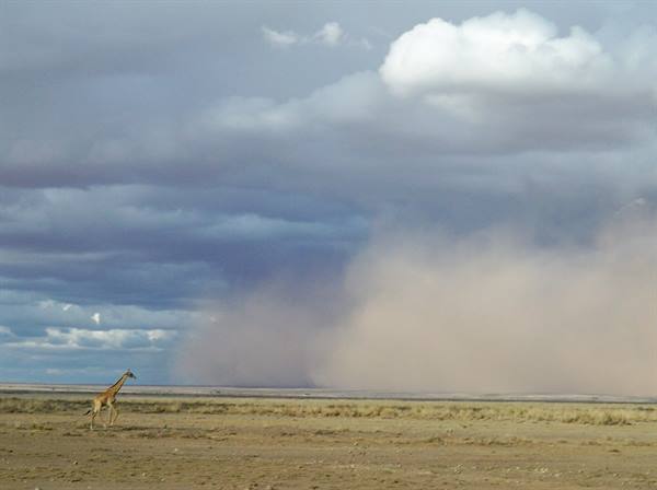 the sandstorm is coming, in no time the 'cloud! ' will wrap us too!!!