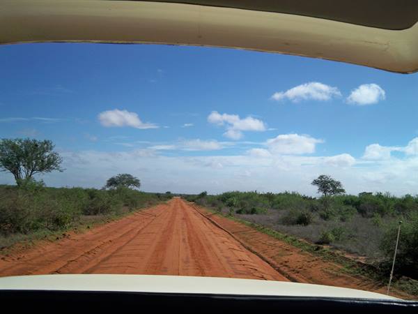Red dirt track driven by safari jeep through bushes and acacia trees