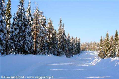 A pristine track