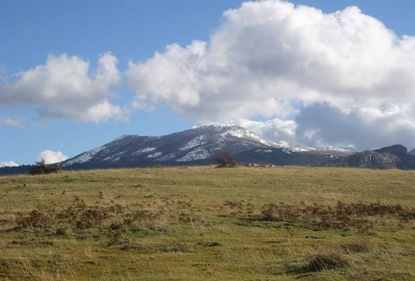 Grassy meadow before snowy mountains, white clouds in blue sky