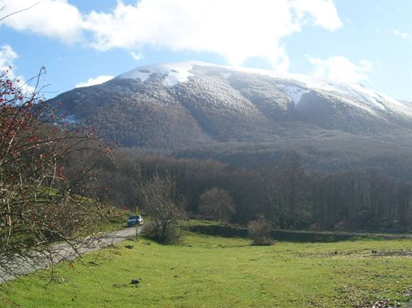 Snowy mountain above a green meadow, car on a country road
