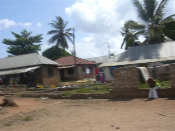 Metal-roofed houses among palm trees, people by dirt road, motion blur