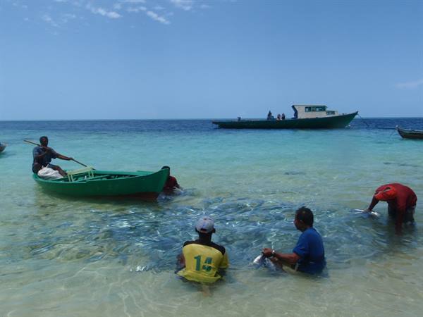 Fishermen in shallow turquoise water with nets beside green wooden boats