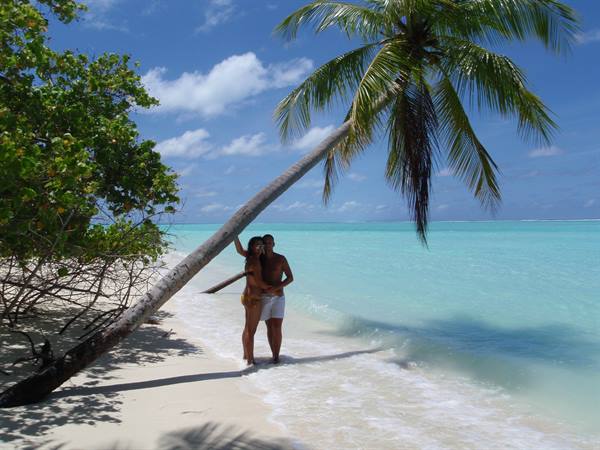 Couple embracing in turquoise water under a leaning palm tree, white sand