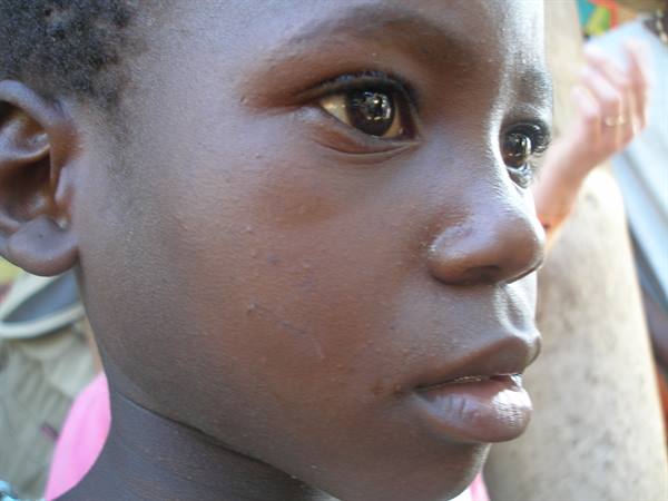 Close-up portrait of a child, sunlight on the face