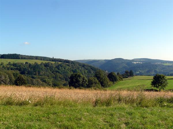Ardennes