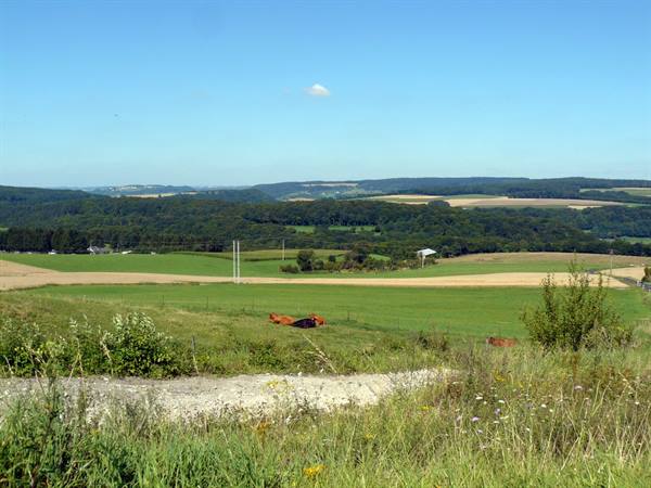 Little Switzerland