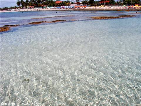 Natural pools