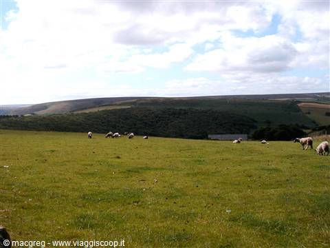 Exmoor NP