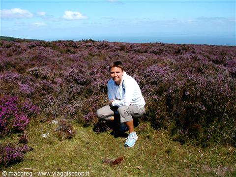 Exmoor NP