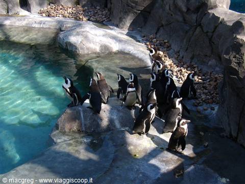 Zoo Aquarium