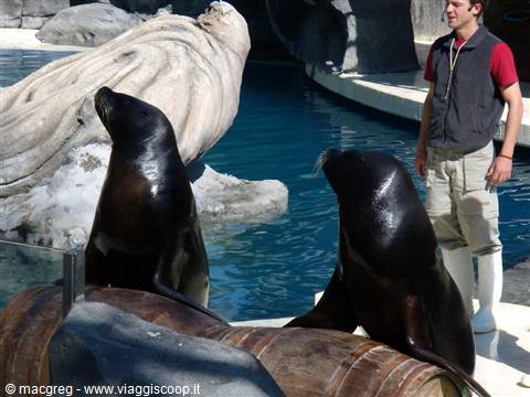 Zoo Aquarium