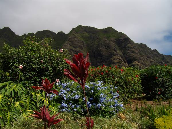 Jurassic Park set