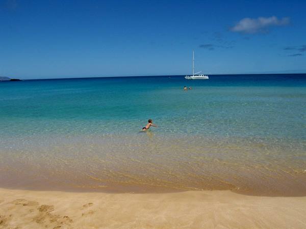 Waimea Beach Park, maximum crowding