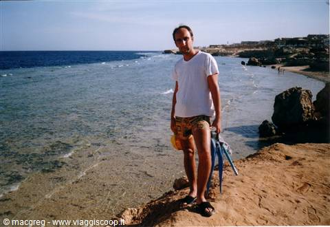 Man in white t-shirt holding fins and mask on sandy rocks, turquoise sea