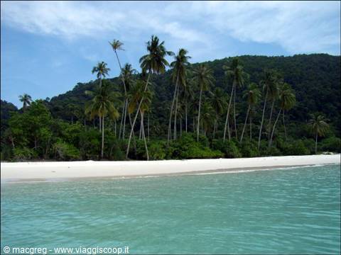 White sand beach with palm trees and turquoise water, green hill behind