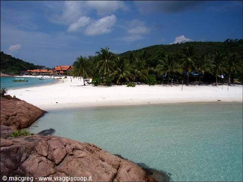 White sand beach with palm trees and turquoise water, Pulau Redang
