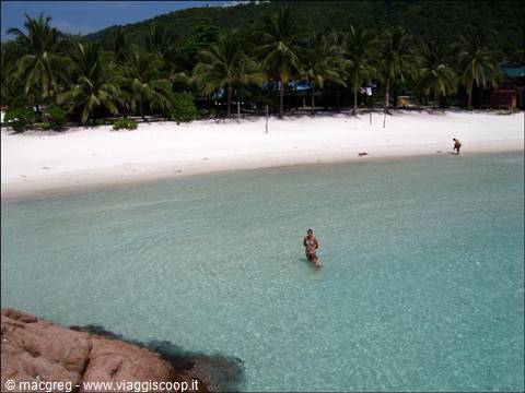 Tourist wades in turquoise water by white sand beach with palms