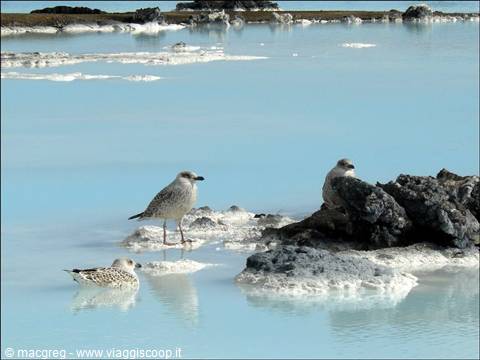 Blue Lagoon