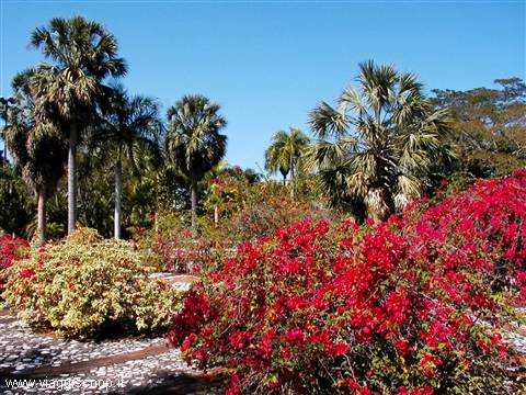 Santo Domingo - Botanical Garden