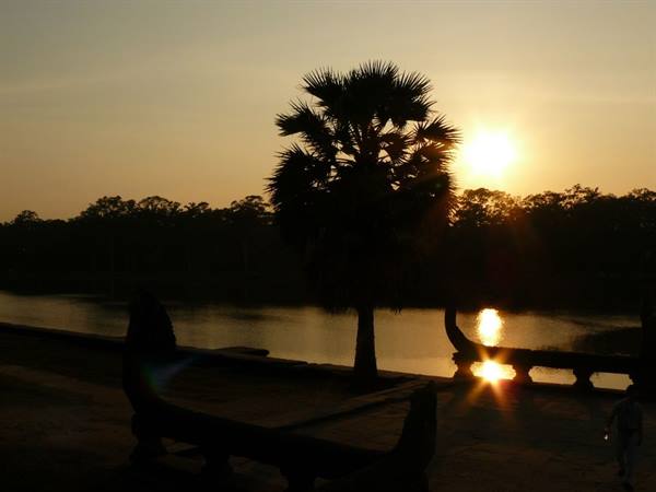 Sunrise behind a palm tree and the pond in front of Angkor Wat temple