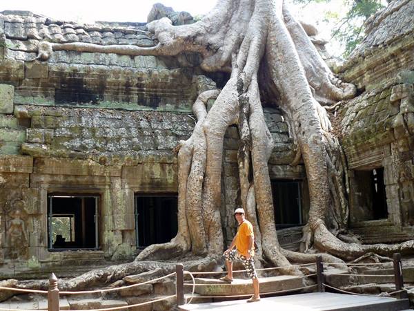 Tourist beneath giant tree roots covering Ta Prohm temple ruins
