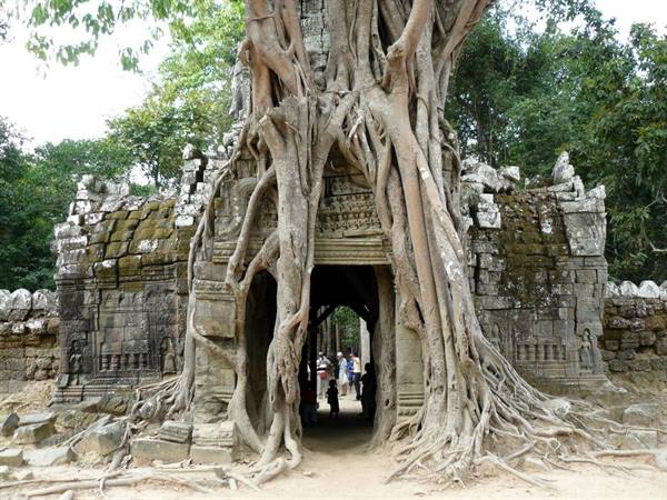 Giant tree roots engulf the stone gateway of Ta Som temple, Angkor